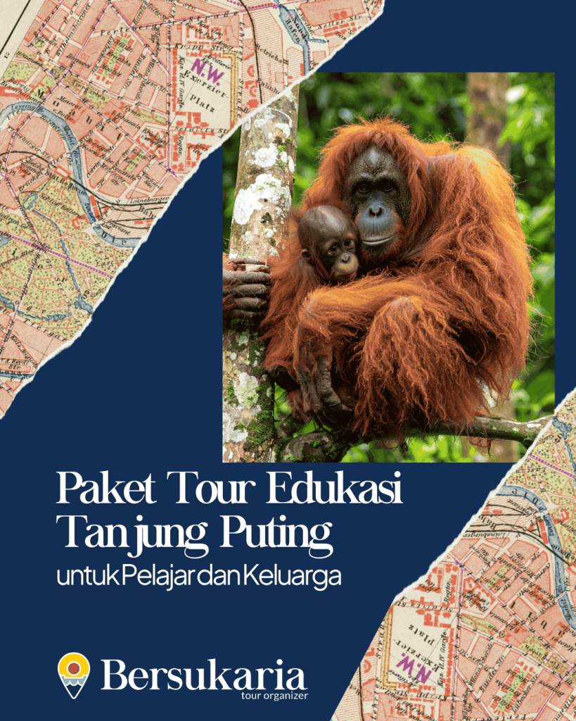 Paket Tour Edukasi Tanjung Puting