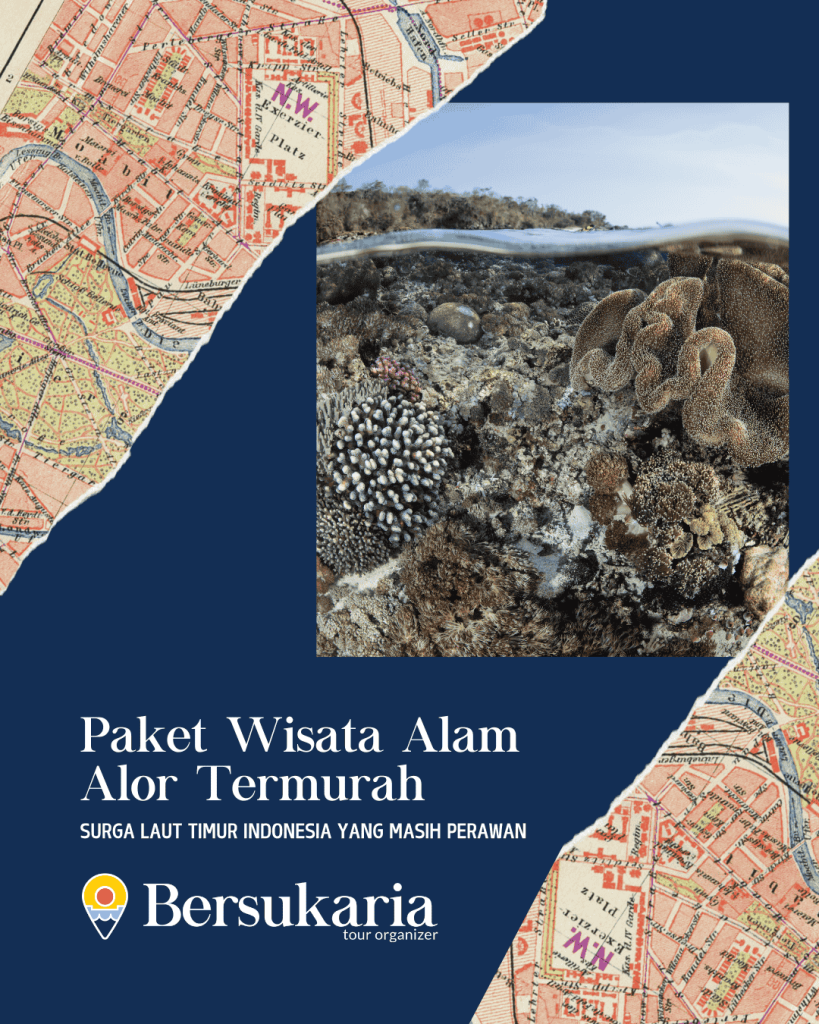 Paket Wisata Alam Alor Termurah