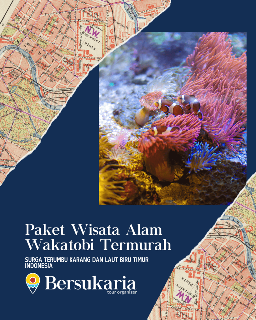 Paket Wisata Alam Wakatobi Termurah