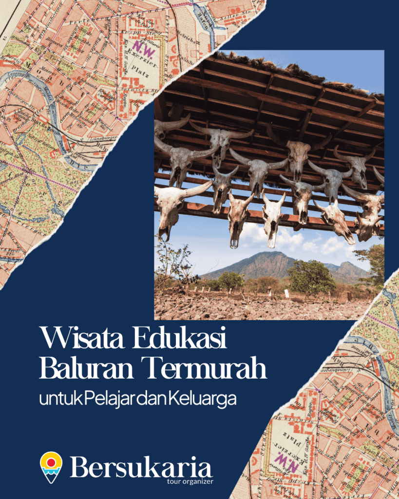 Wisata Edukasi Baluran Termurah